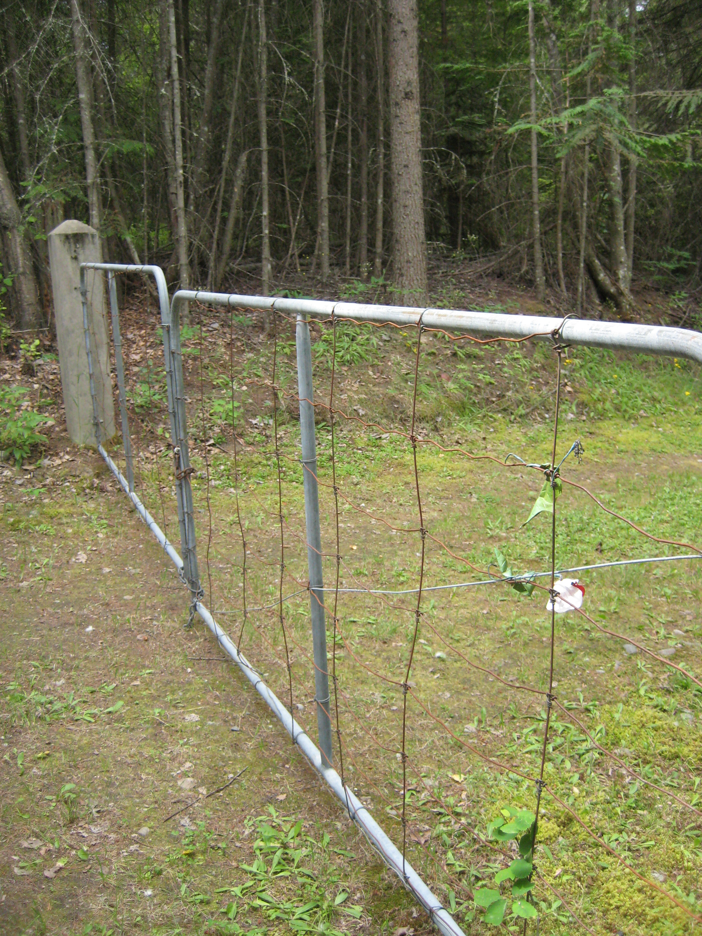 Entrance fence of Fauquier Cemetery