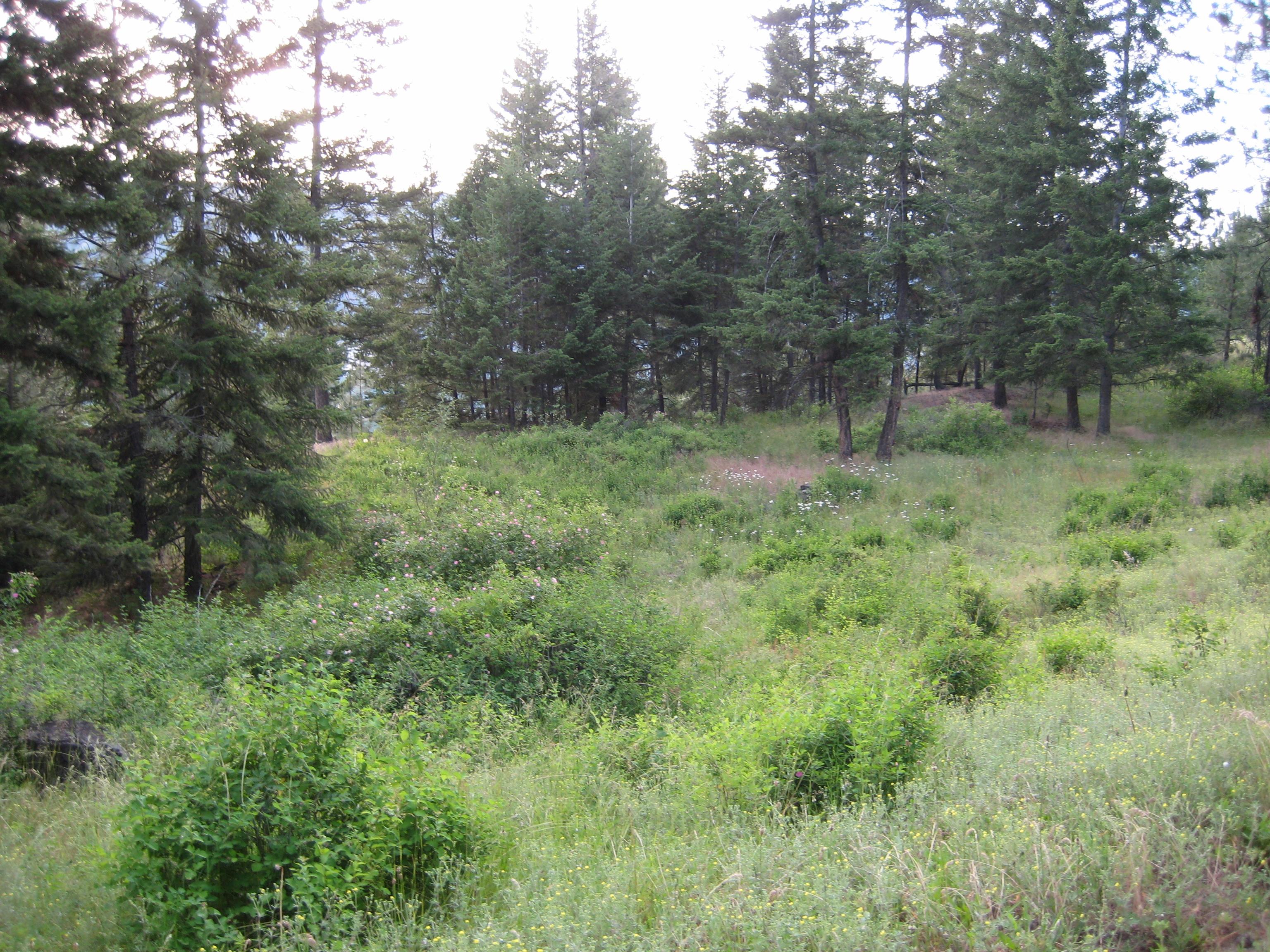 Pattulo-Hebbert Cemetery, distance view