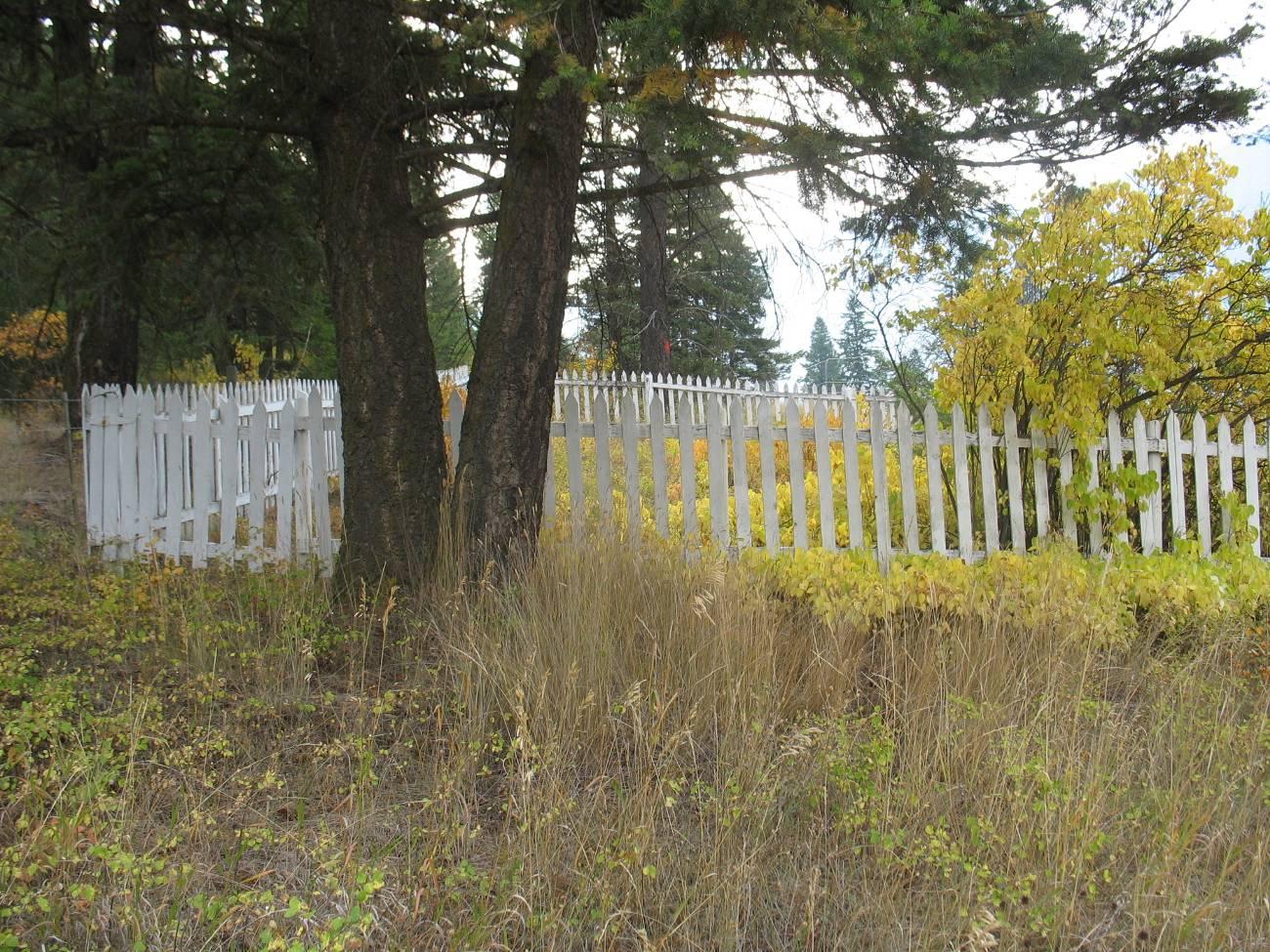 Falkland Pioneer Cemtery