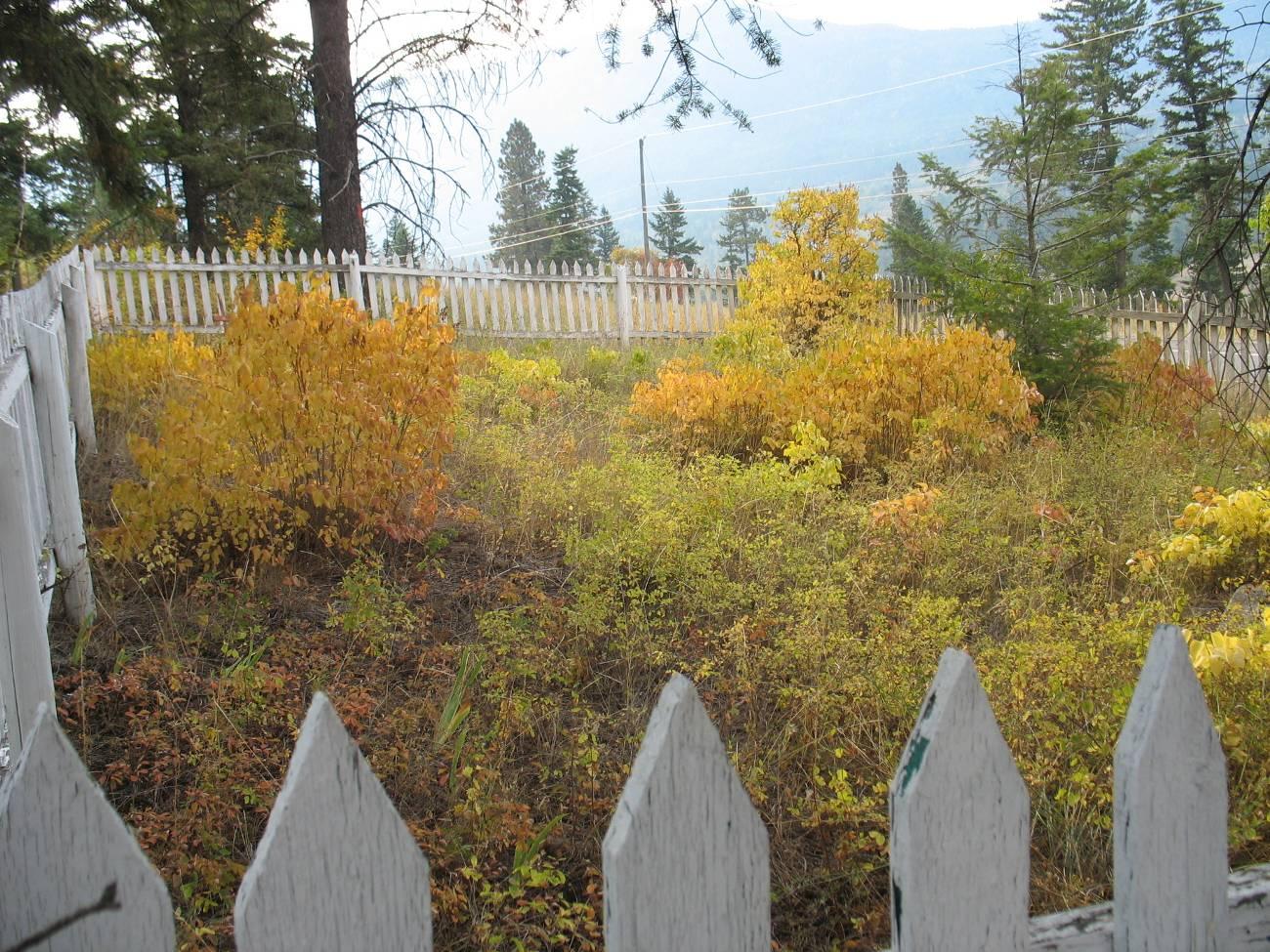 Falkland Pioneer Cemetery