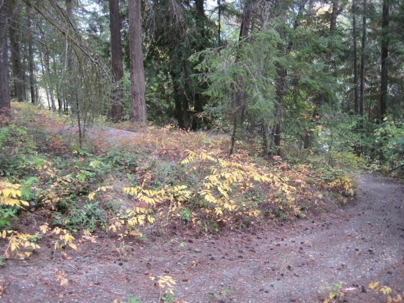 Silver Creek Cemtery