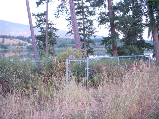 G.S.Pelly Cemetery, gate in the NW corner