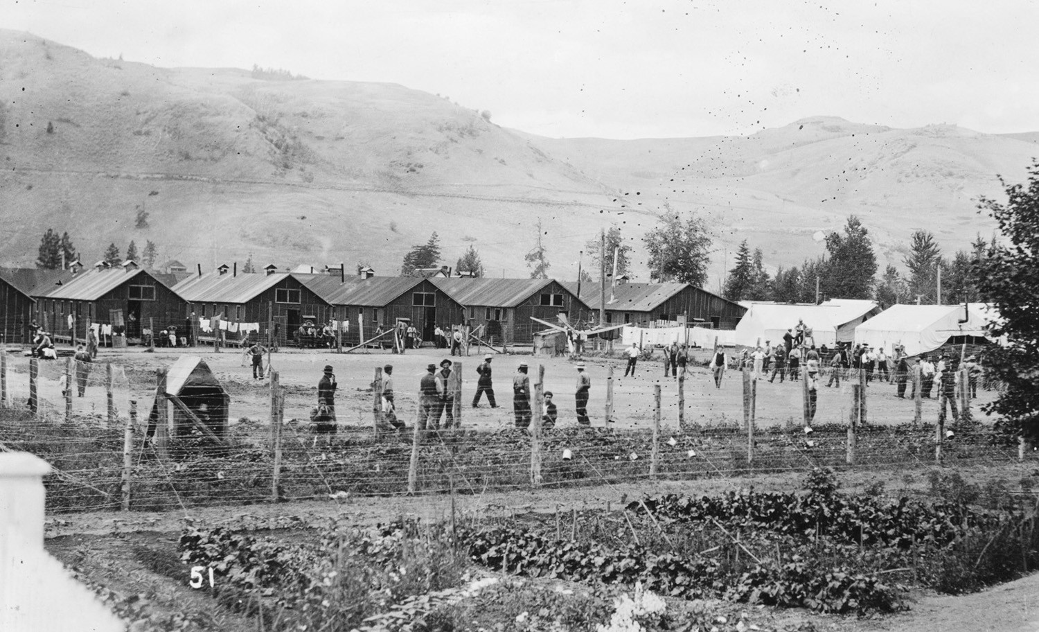 The Vernon Interment Camp circa 1916. GVMA No. 2500